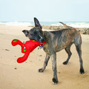 Pelucia Flutuante KONG Belly Flops Lagosta - New York Pets