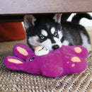 Pelucia Kong Coelhinho Snuzzles Bunny para Cachorro - New York Pets