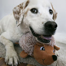 Pelucia Kong Comfort HedgeHug Ouriço com apito - New York Pets
