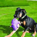 Pelucia Kong Phatz Hipopotamo para Cachorro - New York Pets
