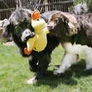 Pelucia para cachorro Kong Comfort Pato Jumbo com Apito - New York Pets