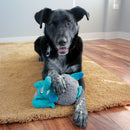 Pelucia para Cachorro Kong Elefante Sherps Floofs - New York Pets