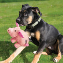Pelucia para Cachorro Kong Phatz Porquinho - New York Pets