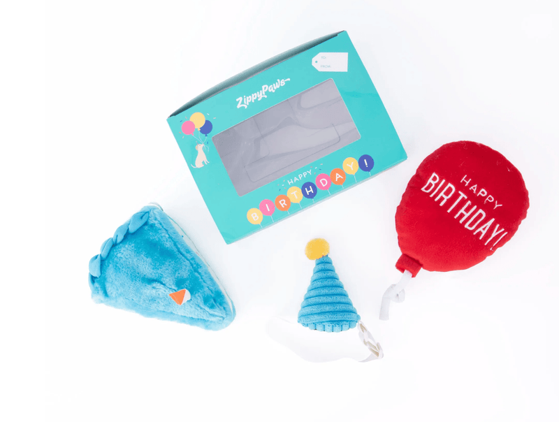 Pelucia Zippy Box de Aniversário para Filhote - New York Pets