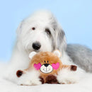 Pelucia Zippy - Brainey Pelucia Ursinho Apaixonado - New York Pets