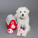 Pelucia Zippy Burrow Celeiro de Porquinhos Para Cachorro - New York Pets