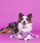 Pelucia Zippy Spencer Crinkle - Macaco - New York Pets