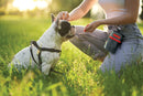Petisqueira Kong Travel Treat Bag para Adestramento Cães - New York Pets