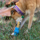 Recheavel de Borracha para Cães – Petz Yak Chew Holder - New York Pets