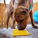 Tapete de Lamber Favo de Mel Médio eMat - Sodapup - New York Pets