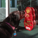 Tapete de Lamber Kong Licks - New York Pets