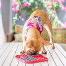 Tapete de Lamber LickiMat Slomo para Cachorro - New York Pets