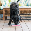 Tapete de Lamber LickiMat Tuff - Playdate para Cachorro - New York Pets