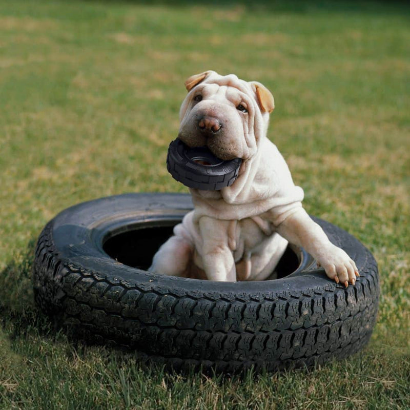 Brinquedo kong tires extreme pneu p/ cães