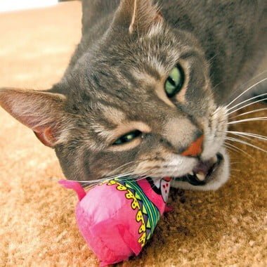 Brinquedo Rato Fatcat Eeeks Para Gatos Laranja com Catnip