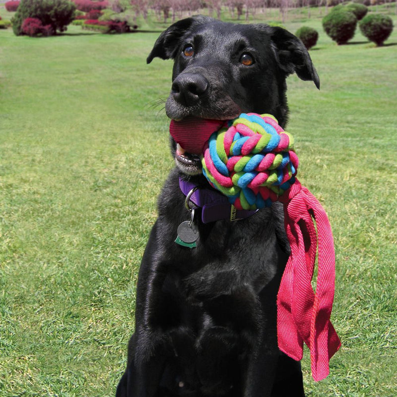 Kong Wubba Weaves Brinquedo para Cachorro