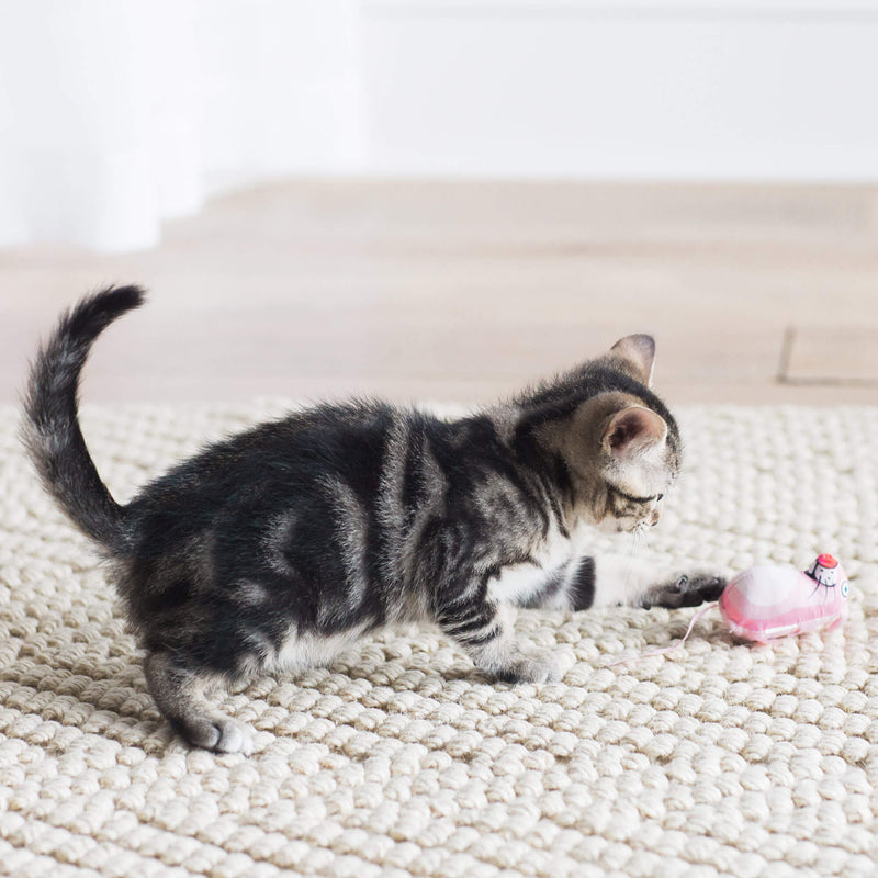 Brinquedo Fatcat Eeeks Para Gatos - Rosa com Catnip