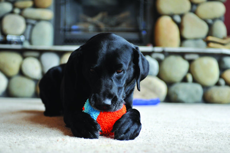 Bola Chuckit! Indoor Ball Para Cachorro