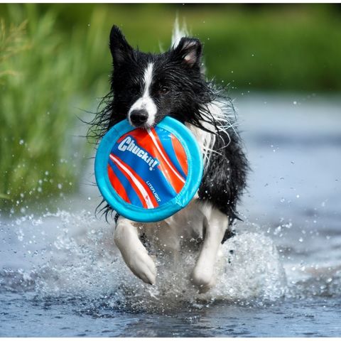 Frisbee Chuckit LiteFlight para Cães
