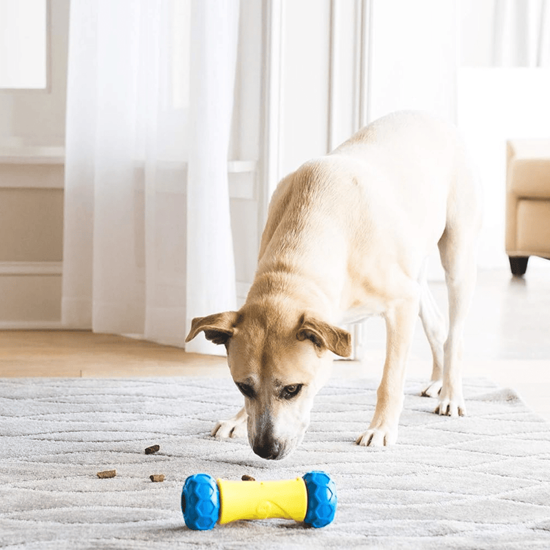 Brinquedo Jw Robo Bone Dispensador Eletrônico Automatico para Cães e Gatos