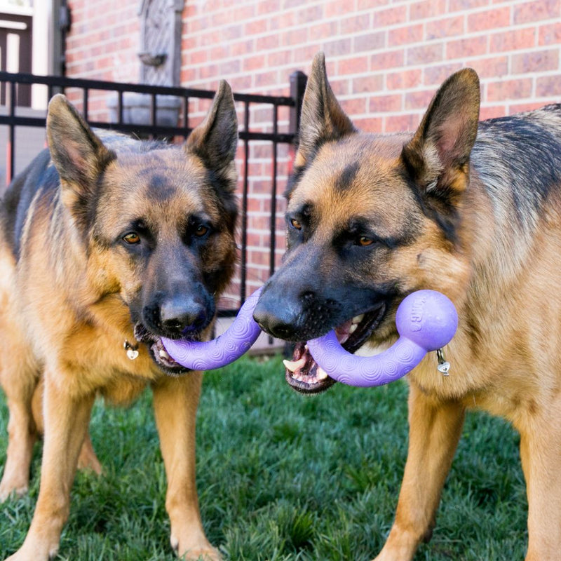 Brinquedo Kong para cachorro Ogee Stick Cabo de Guerra