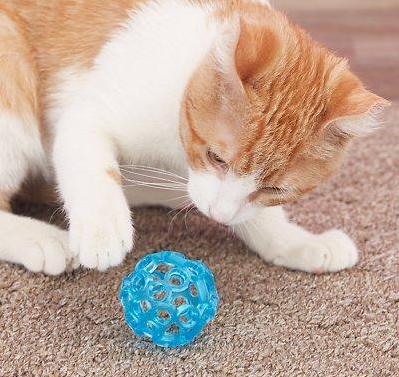 Brinquedo interativo para gato JW Lattice Ball