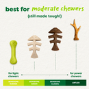 Benebone Green Fishbone — Mordedor para Cachorro Sabor Salmão