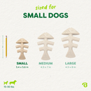 Benebone Green Fishbone — Mordedor para Cachorro Sabor Salmão