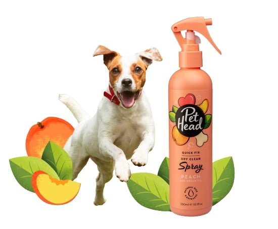 Spray Banho a Seco para Cachorro- Pet Head Quick Fix