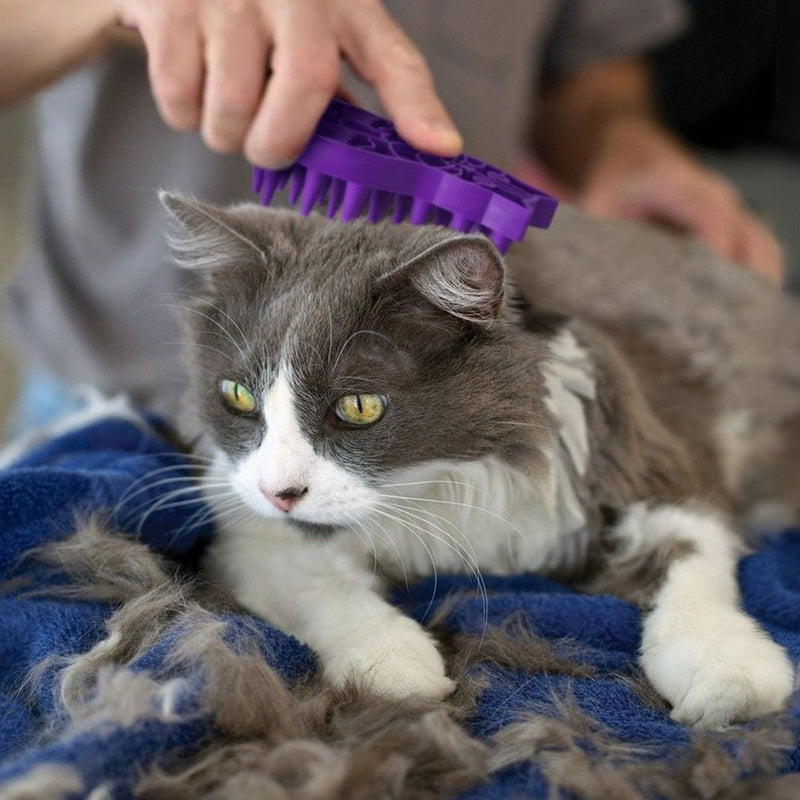 Escova massageadora kong zoomgroom para gatos