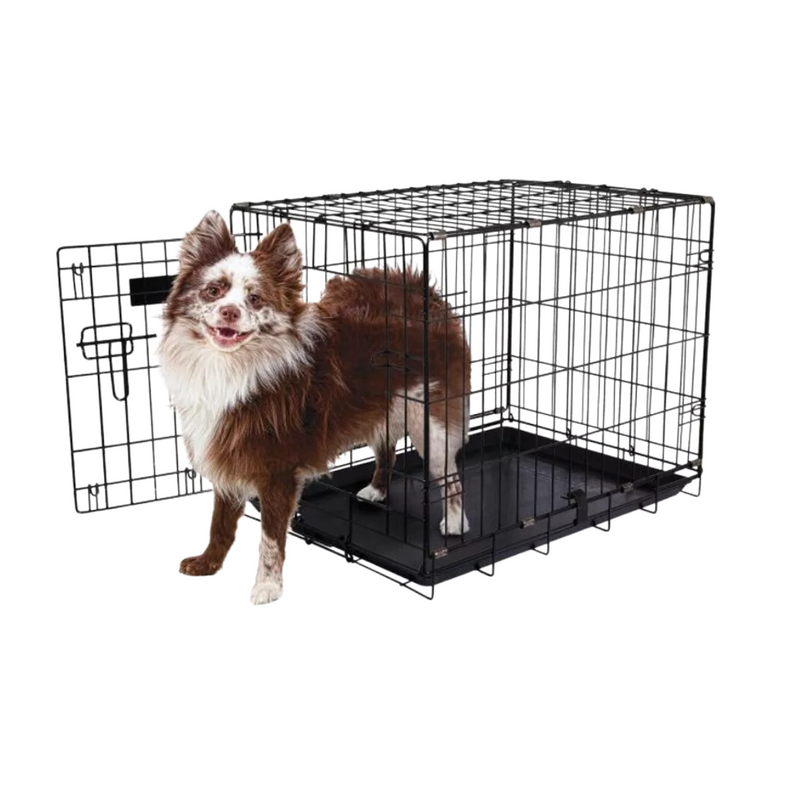 Caixa De Arame Cercado Gaiola Para Cães E Gatos - PRO VALU CRATE 19" ATÉ 7KG