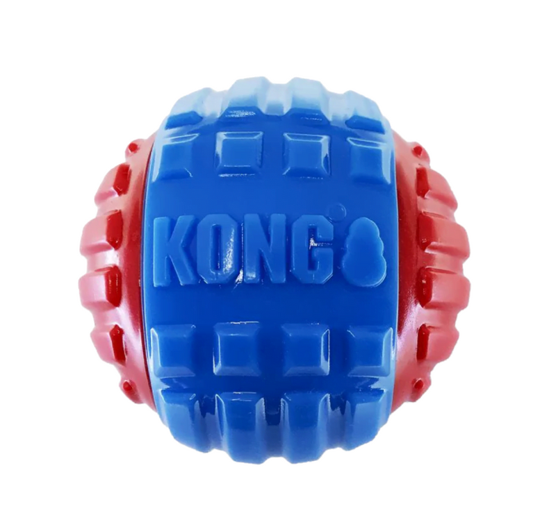 Bola Kong Corestrength Rattlez Ball