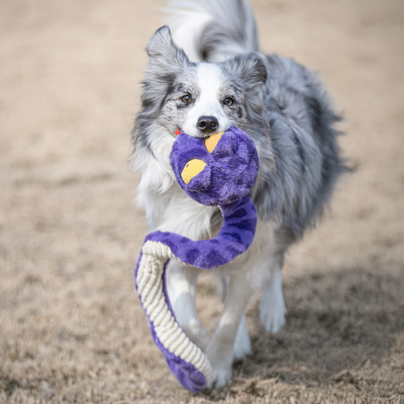 Cobra de Mola 100cm Petta – Pelucia de Cobra para Cachorro