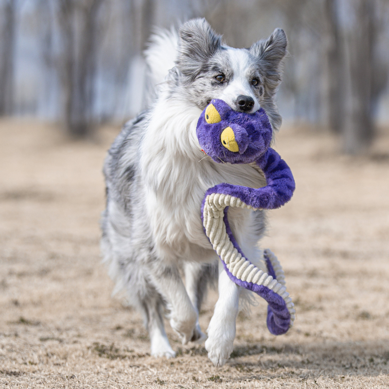 Cobra de Mola 100cm Petta – Pelucia de Cobra para Cachorro