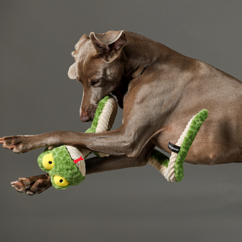 Cobra de Mola 100cm Petta – Pelucia de Cobra para Cachorro