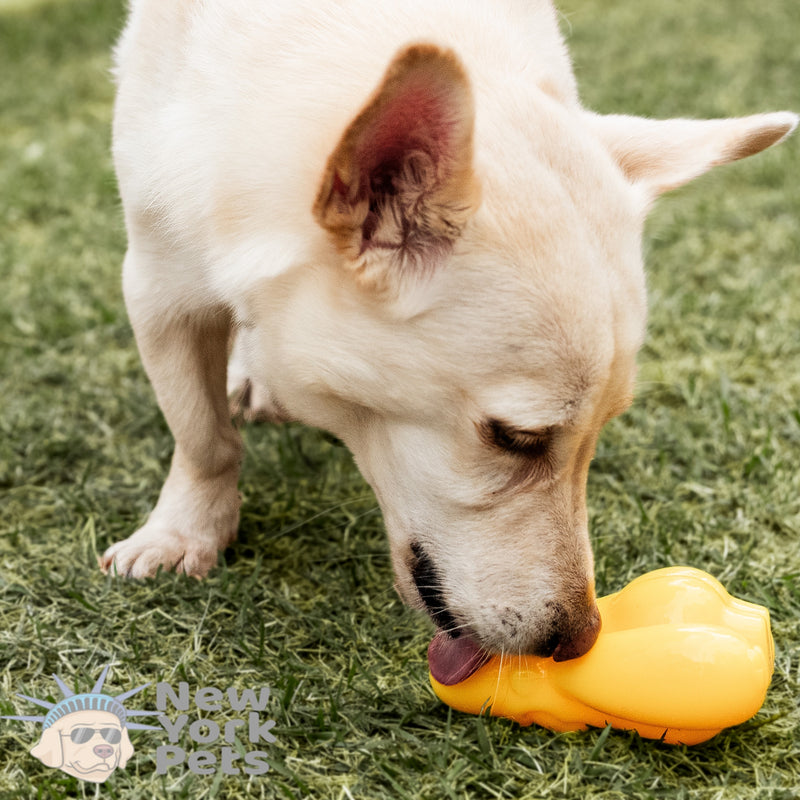 Brinquedo Recheável Dogorila snaX Germanhart para cachorro