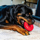 KONG Donut - Brinquedo de Borracha Natural Resistente para Cães - New York Pets