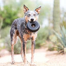 KONG Extreme Donut - Brinquedo Ultra Resistente para Mordidas Fortes - New York Pets