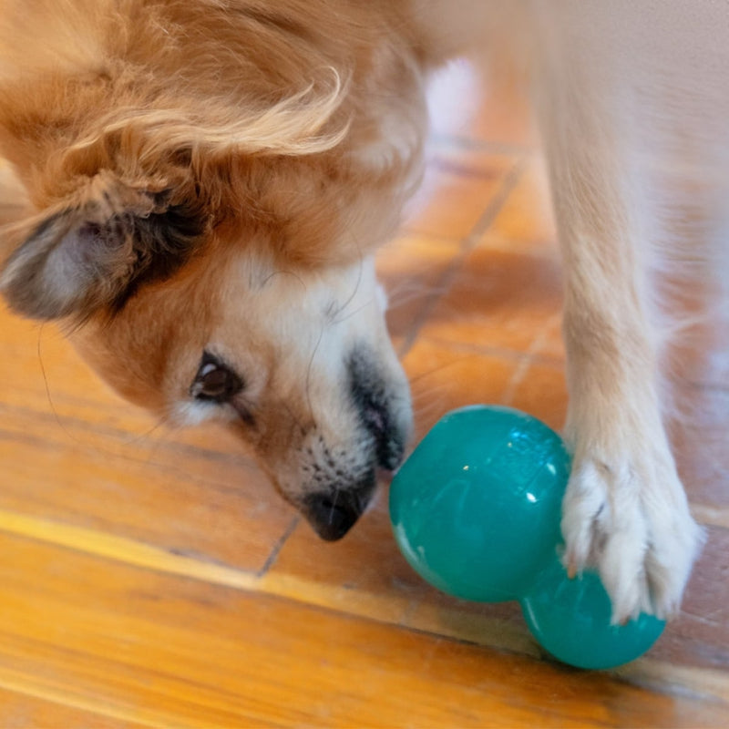 Outward Hound Double Tuff - Brinquedo Recheável para Cachorro