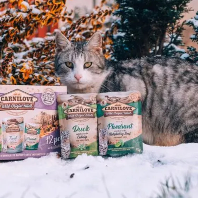 Sache Natural Carnilove Faisão e Folhas de Framboesa para Gatos Adultos