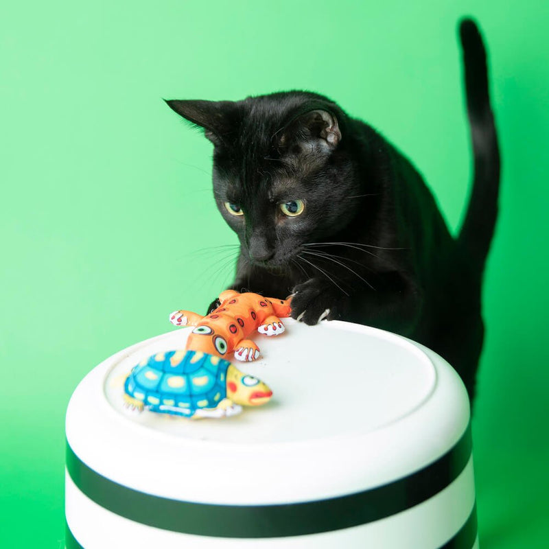 Brinquedo Lagartixa Fatcat Crackler Para Gatos com Catnip