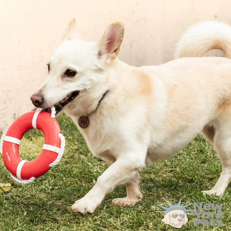 Brinquedo Flutuacao Xplore Germanhart Boia Com Corda  para cachorro