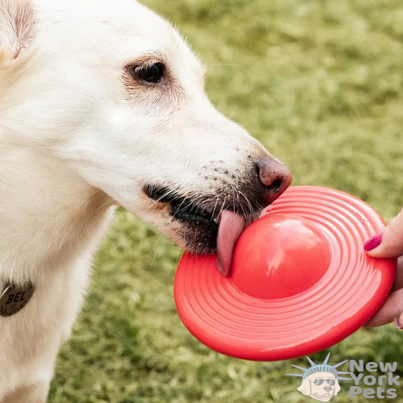 Brinquedo Recheável Disco Flutuante Focao Xplore Germanhart para cachorro