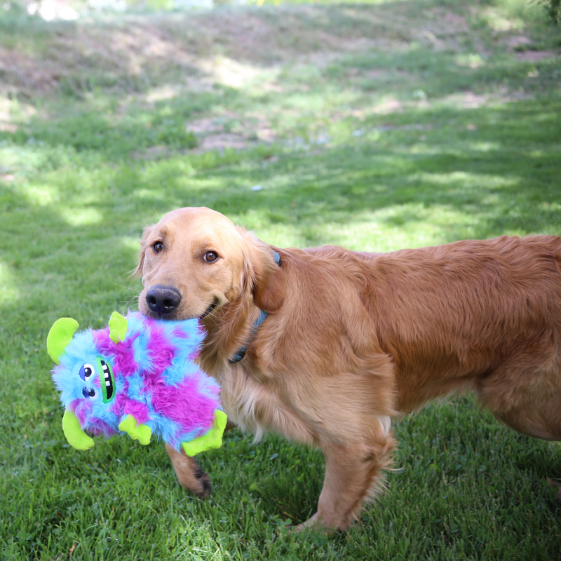 Kong Frizzles Razzle Pelucia Para Cachorro