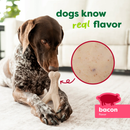 Benebone Green Wishbone — Mordedor para Cachorro Sabor Bacon