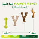 Benebone Green Wishbone — Mordedor para Cachorro Sabor Bacon