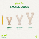 Benebone Green Wishbone — Mordedor para Cachorro Sabor Bacon