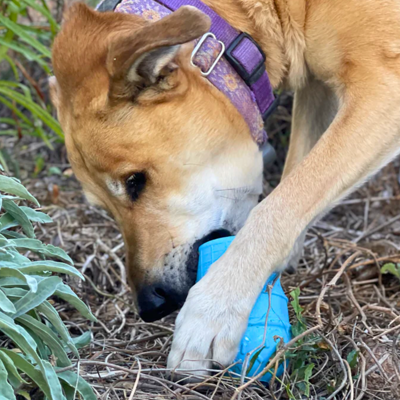 Brinquedo Mordedor Recheável Ice Cream Sodapup Para Cachorro