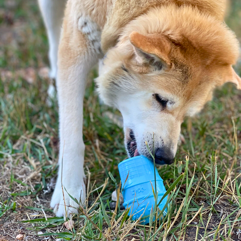 Brinquedo Mordedor Recheável Ice Cream Sodapup Para Cachorro