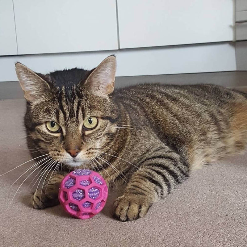 Bola JW Rattle Ball com Chocalho para Gato